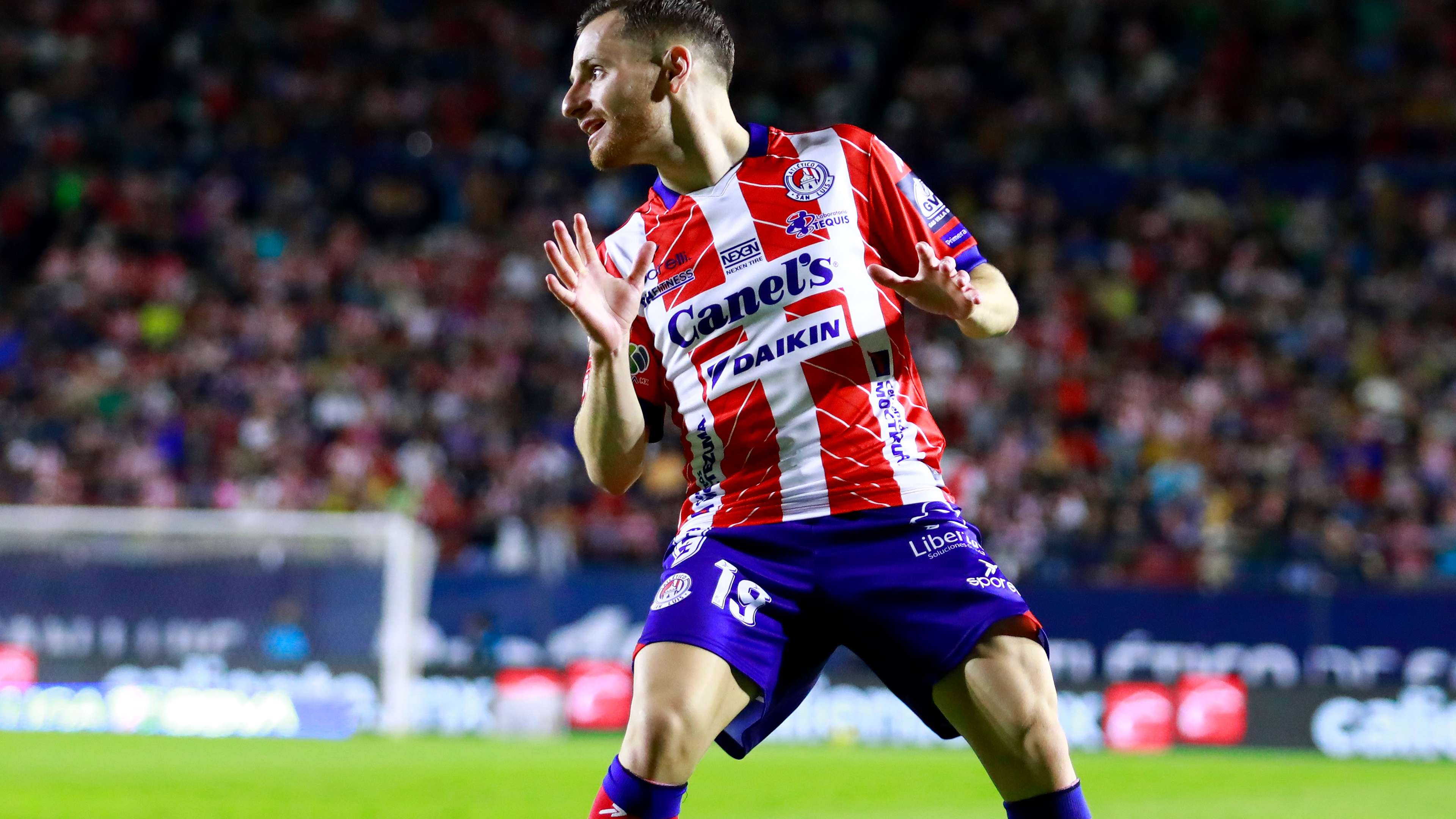 和盈利水平 和盈利水平