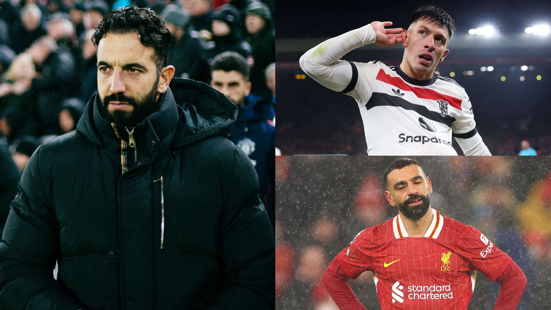 韧与智慧书 韧与智慧书